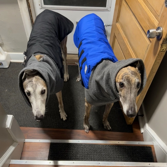 Meet your Posher, Dana - Picture 9 of 16